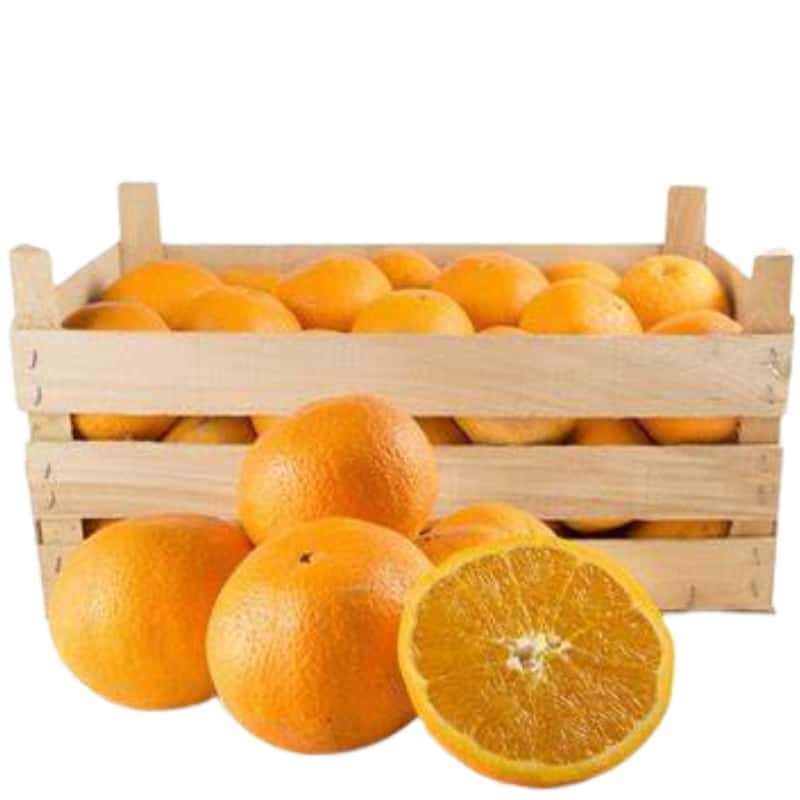 Orangen aus Ribera g.U.