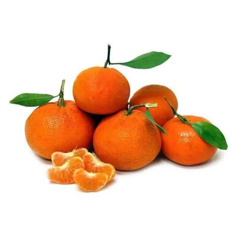 Clementinen aus Kalabrien